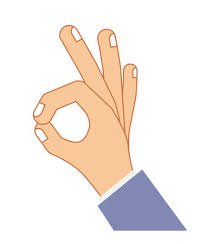 خلاط كهرباء جيباس